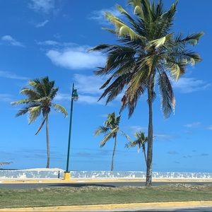 Meet your Posher, Bbrigitt